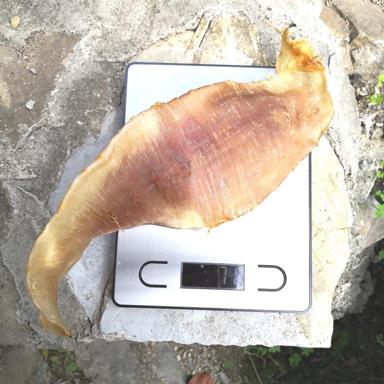 Yellow Croaker Fish Maw&nbsp;Dried