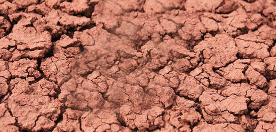 Clays Minerals For Sale