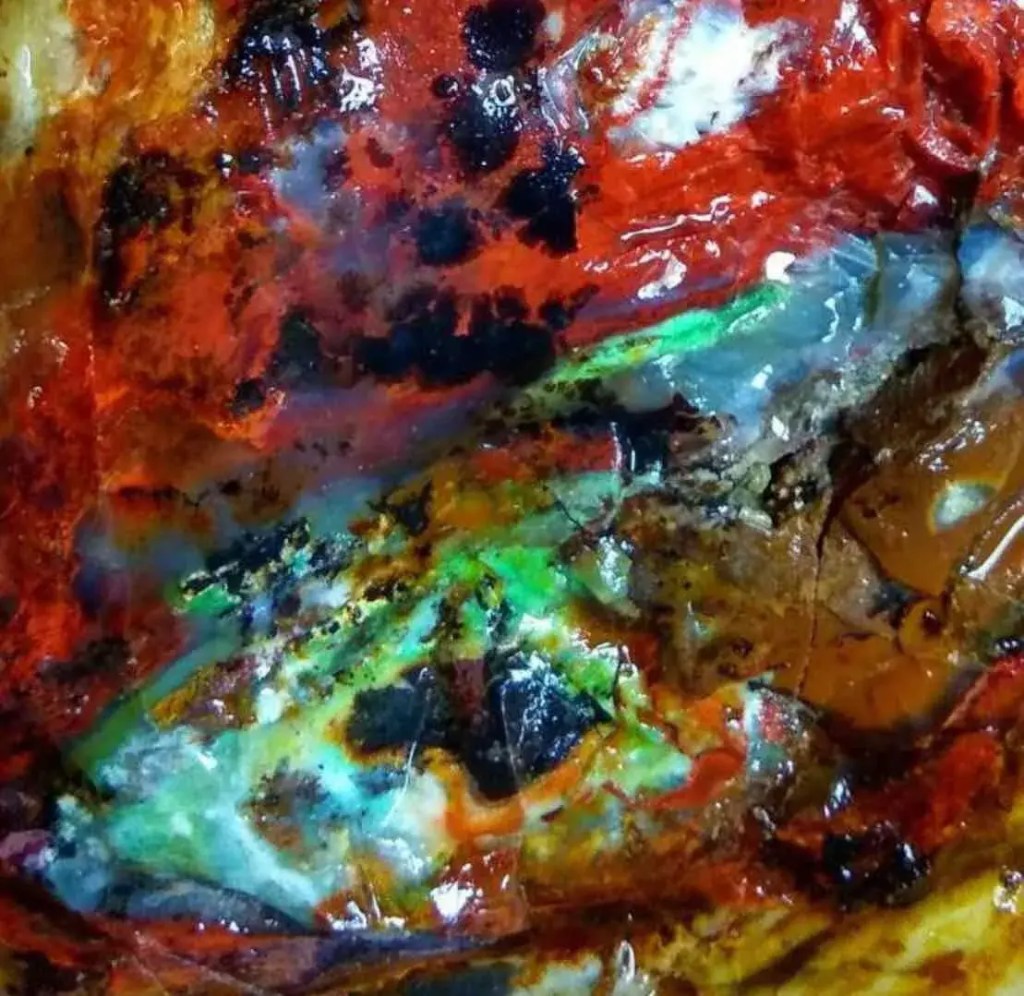 Petrified and opalized wood for sale