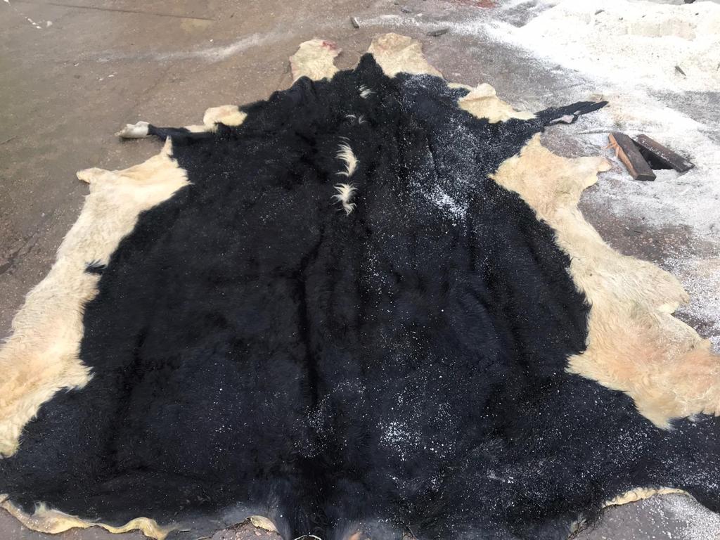 Venta de cueros salados